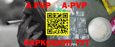 гашик Моздок