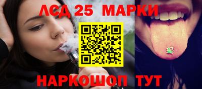 гашик Моздок