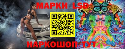 гашик Моздок