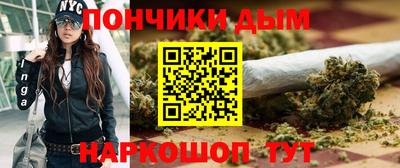 гашик Моздок