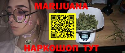 гашик Моздок