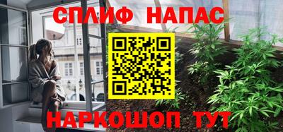 гашик Моздок